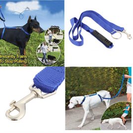 Dog Leash Instant Walking Trainer 6″